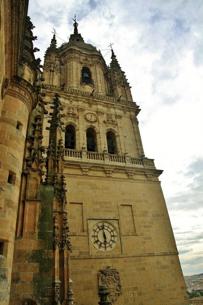 Foto: Catedral - Salamanca (Castilla y León), España