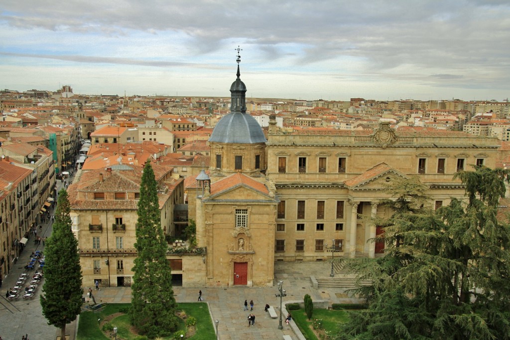 Foto: Vistas desde el tejado de la catedral - Salamanca (Castilla y León), España