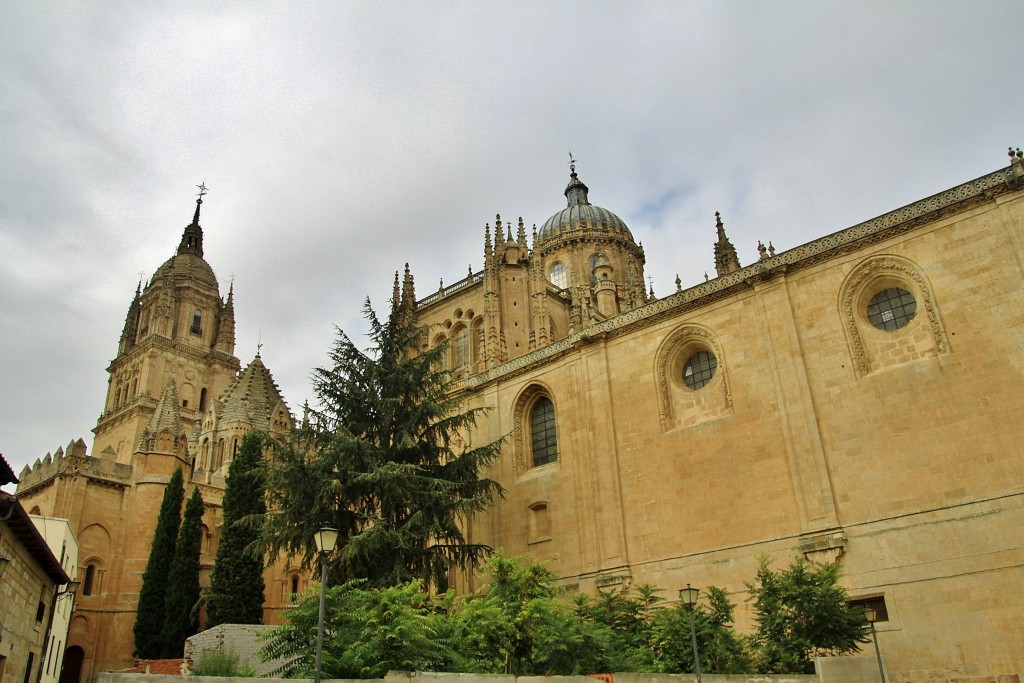 Foto: Centro histórico - Salamanca (Castilla y León), España