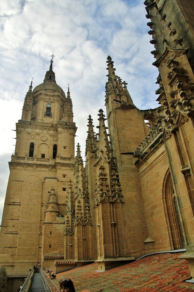 Foto: Catedral - Salamanca (Castilla y León), España