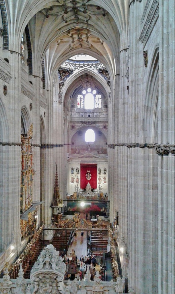 Foto: Catedral - Salamanca (Castilla y León), España