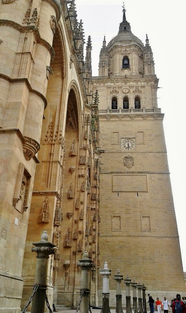 Foto: Catedral - Salamanca (Castilla y León), España