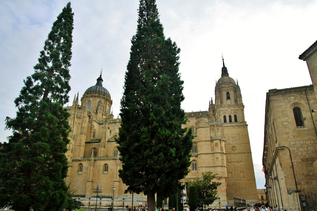 Foto: Catedral - Salamanca (Castilla y León), España