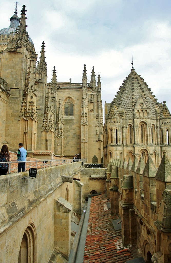 Foto: Vistas desde el tejado de la catedral - Salamanca (Castilla y León), España