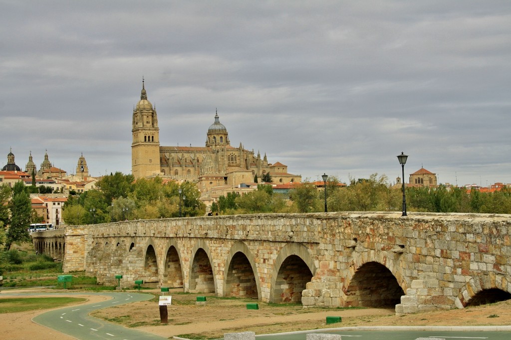 Foto: Puente medieval - Salamanca (Castilla y León), España