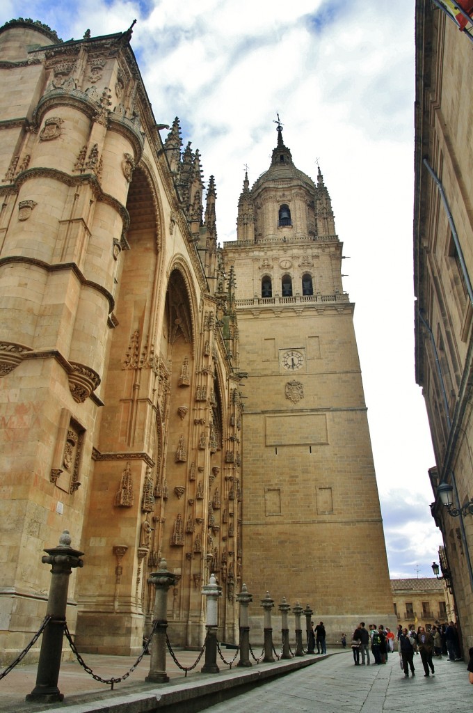 Foto: Catedral - Salamanca (Castilla y León), España