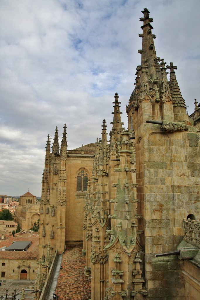 Foto: Vistas desde el tejado de la catedral - Salamanca (Castilla y León), España