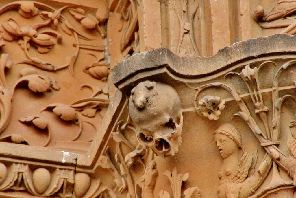 Foto: La famosa rana de la universidad - Salamanca (Castilla y León), España