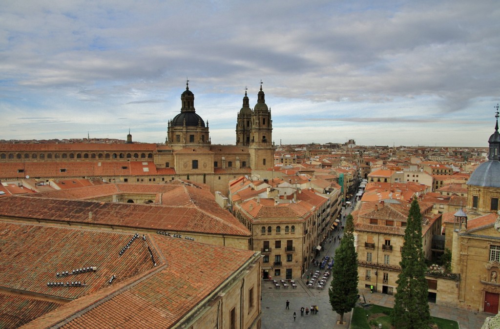 Foto: Vistas desde el tejado de la catedral - Salamanca (Castilla y León), España