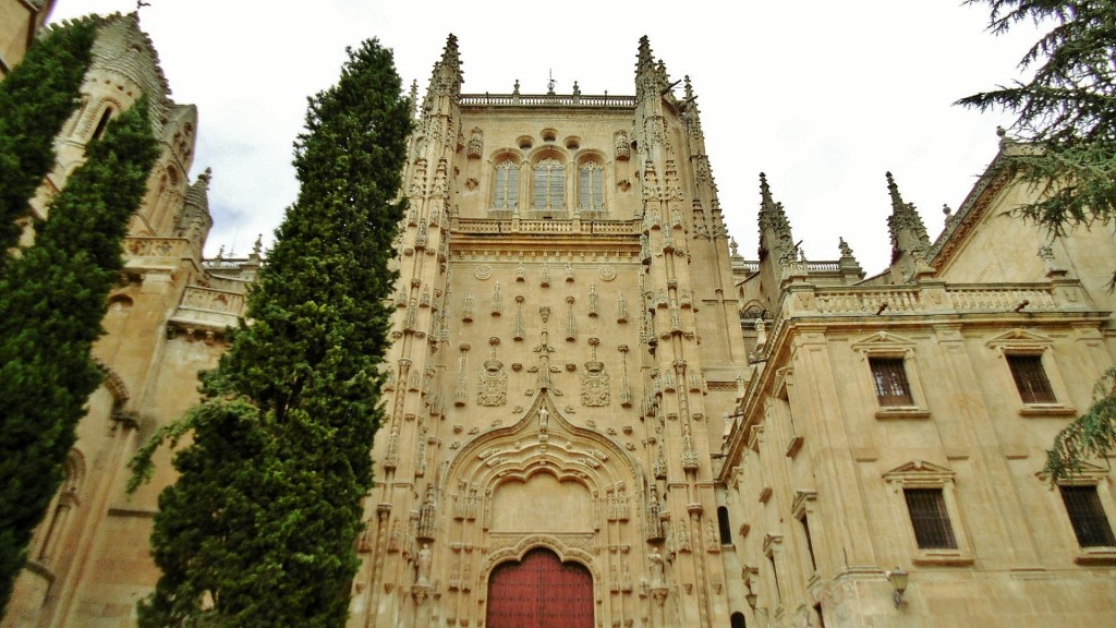 Foto: Catedral - Salamanca (Castilla y León), España