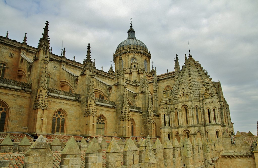 Foto: Catedral - Salamanca (Castilla y León), España