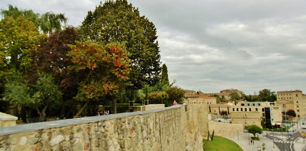 Foto: Murallas - Salamanca (Castilla y León), España