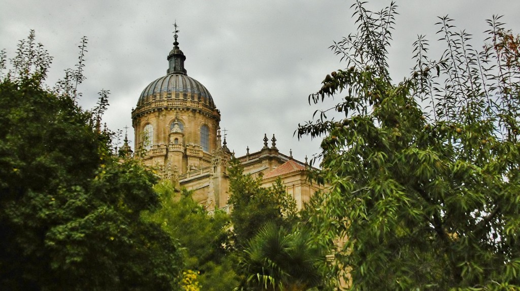 Foto: Catedral - Salamanca (Castilla y León), España