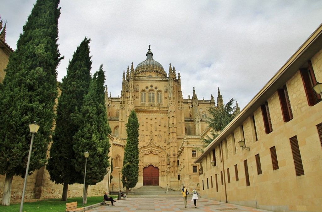 Foto: Catedral - Salamanca (Castilla y León), España