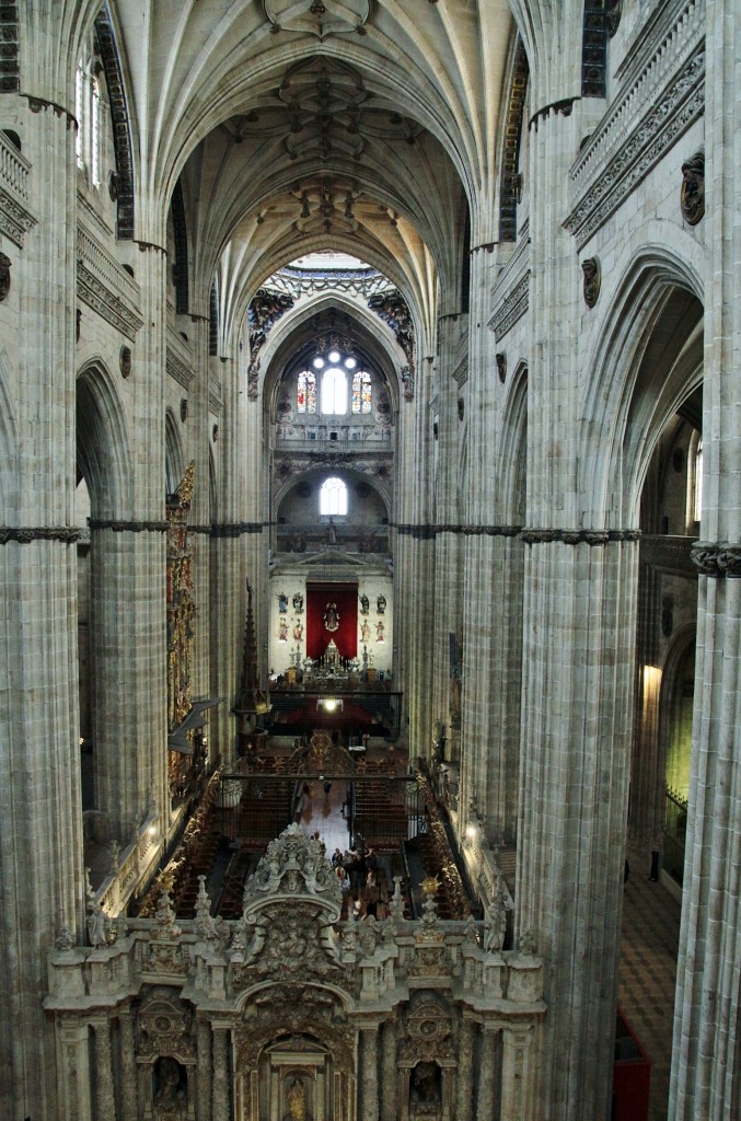 Foto: Catedral - Salamanca (Castilla y León), España