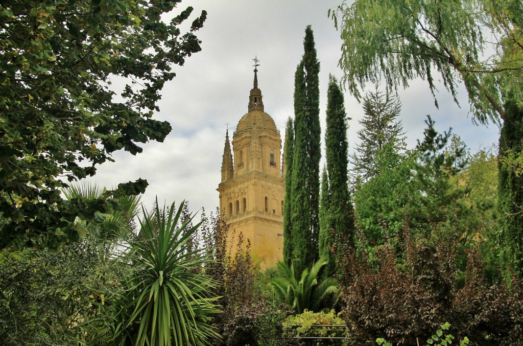 Foto: Catedral - Salamanca (Castilla y León), España