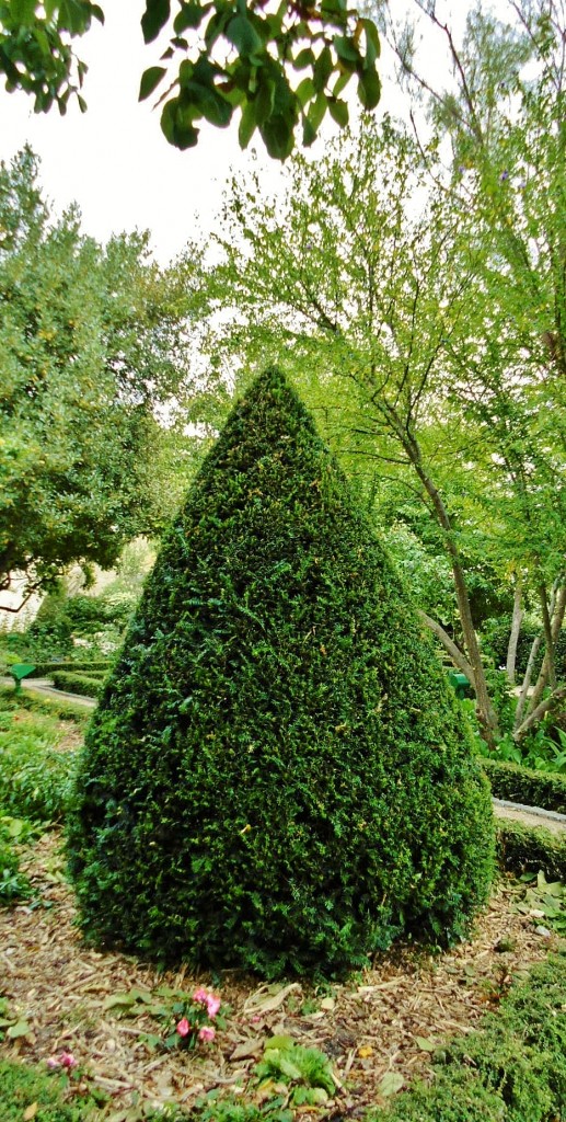 Foto: Jardín - Salamanca (Castilla y León), España