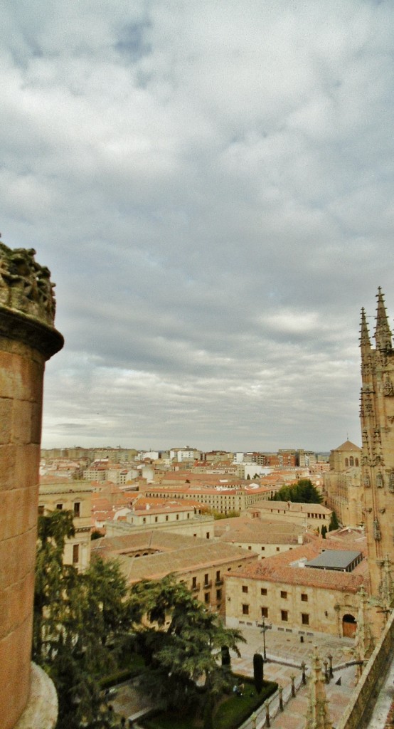 Foto: Vistas desde el tejado de la catedral - Salamanca (Castilla y León), España