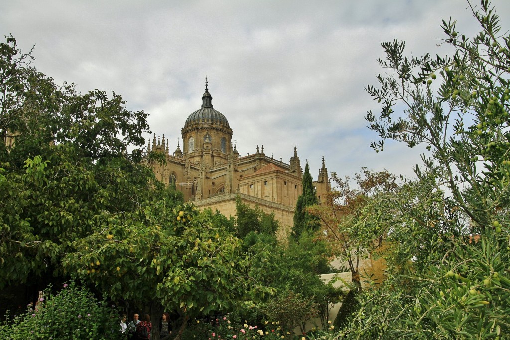 Foto: Catedral - Salamanca (Castilla y León), España