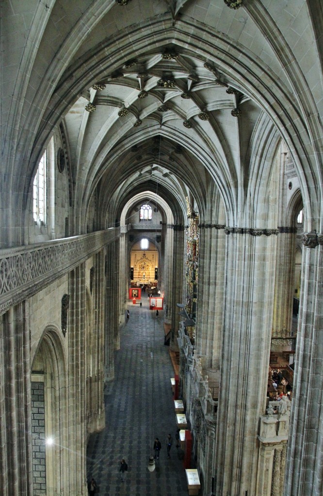 Foto: Catedral - Salamanca (Castilla y León), España