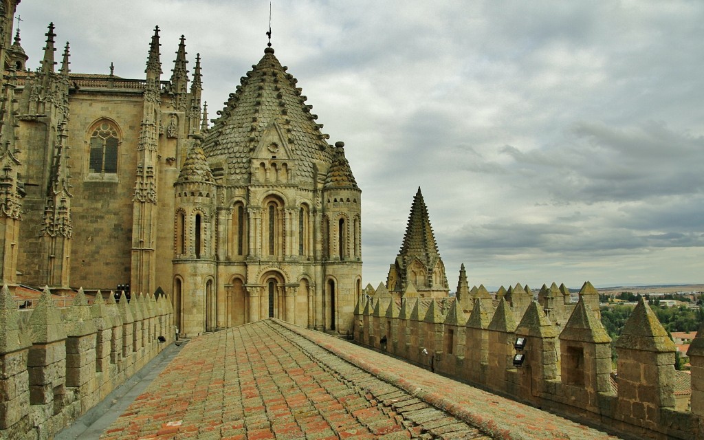 Foto: Vistas desde el tejado de la catedral - Salamanca (Castilla y León), España