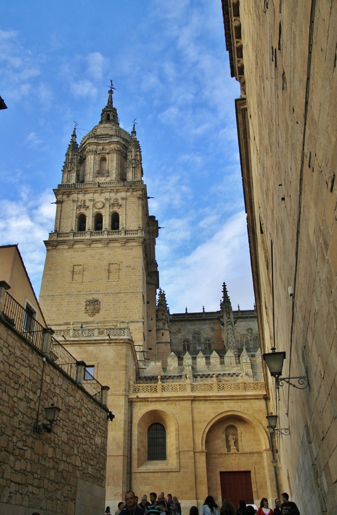 Foto: Catedral - Salamanca (Castilla y León), España