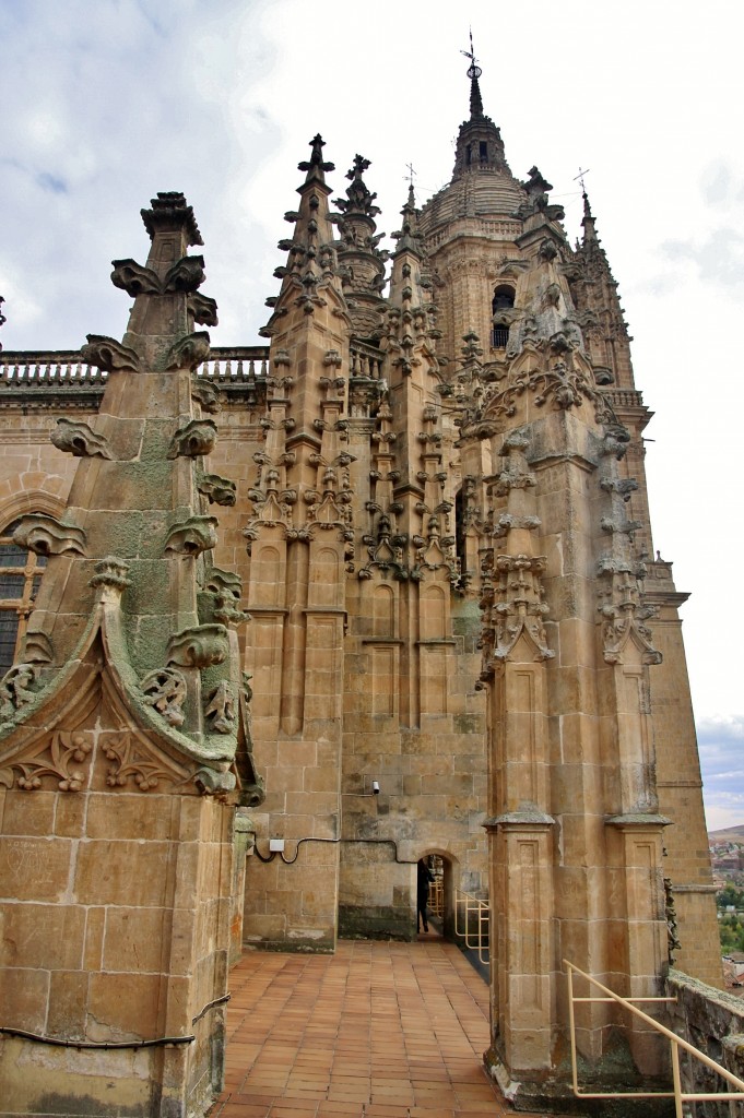 Foto: Vistas del tejado de la catedral - Salamanca (Castilla y León), España