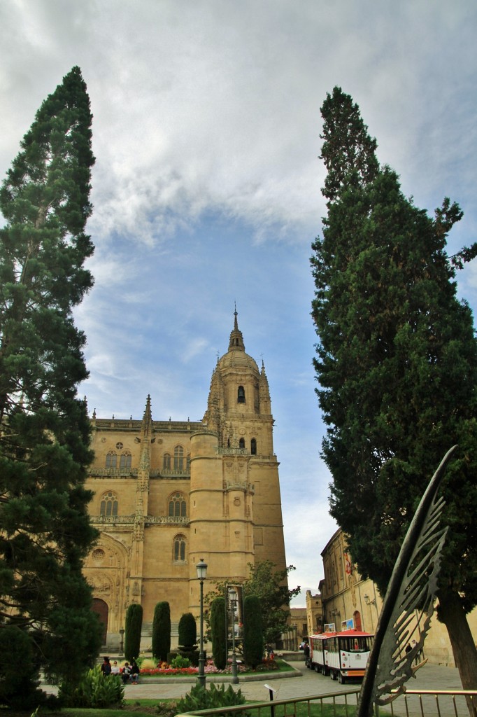 Foto: Catedral - Salamanca (Castilla y León), España