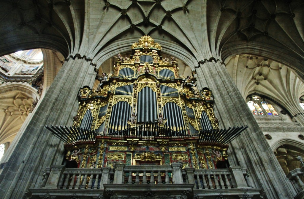 Foto: Catedral nueva - Salamanca (Castilla y León), España