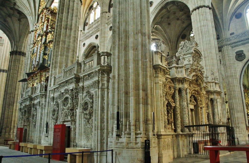 Foto: Catedral nueva - Salamanca (Castilla y León), España