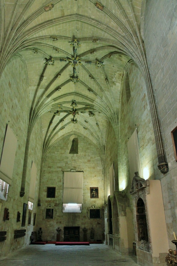 Foto: Catedral vieja - Salamanca (Castilla y León), España