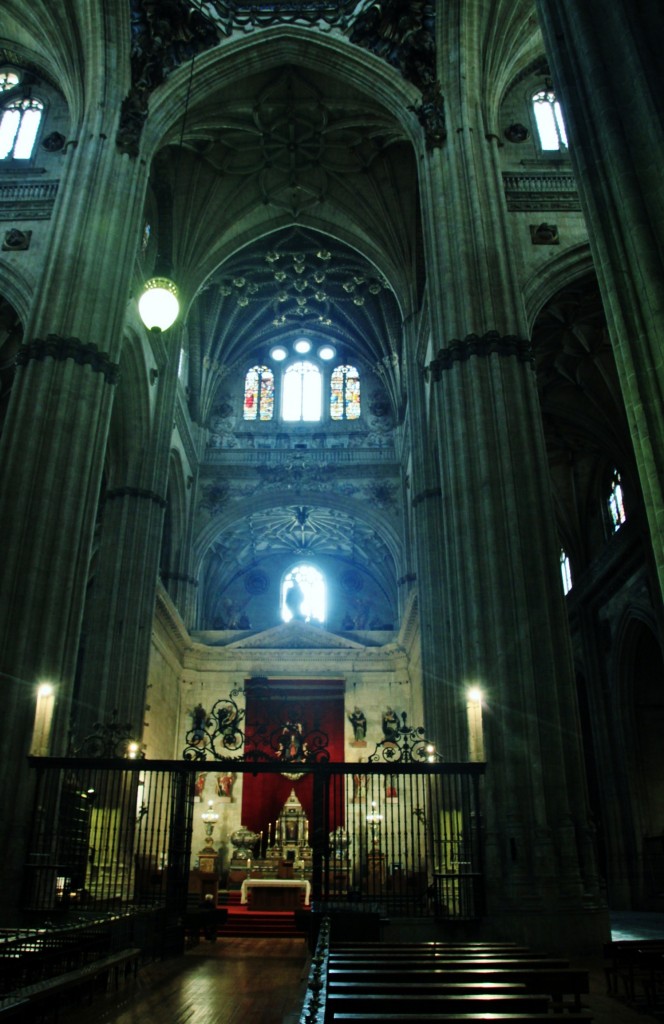 Foto: Catedral nueva - Salamanca (Castilla y León), España