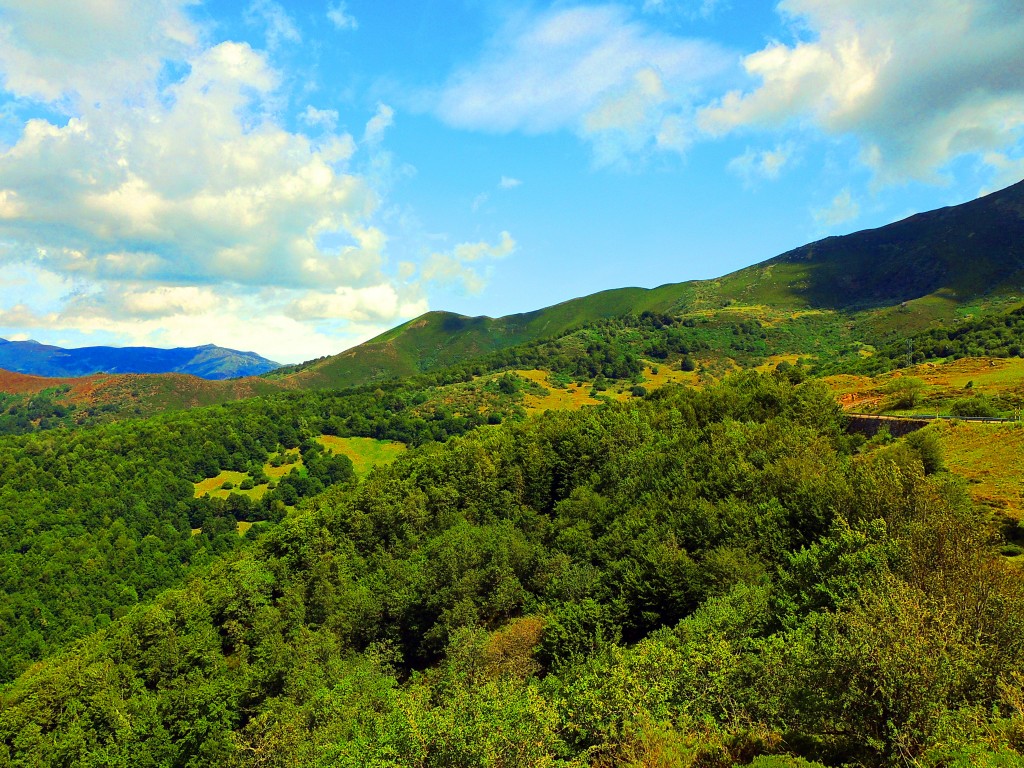 Foto de Piedrasluengas (Palencia), España