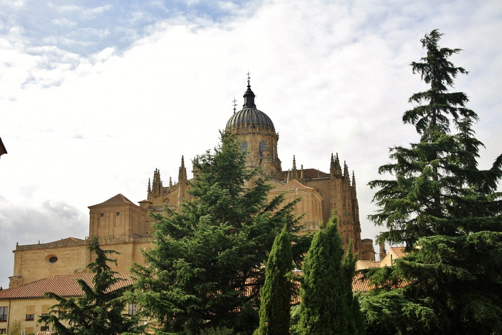 Foto: Centro histórico - Salamanca (Castilla y León), España