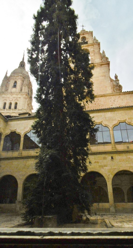 Foto: Universidad - Salamanca (Castilla y León), España