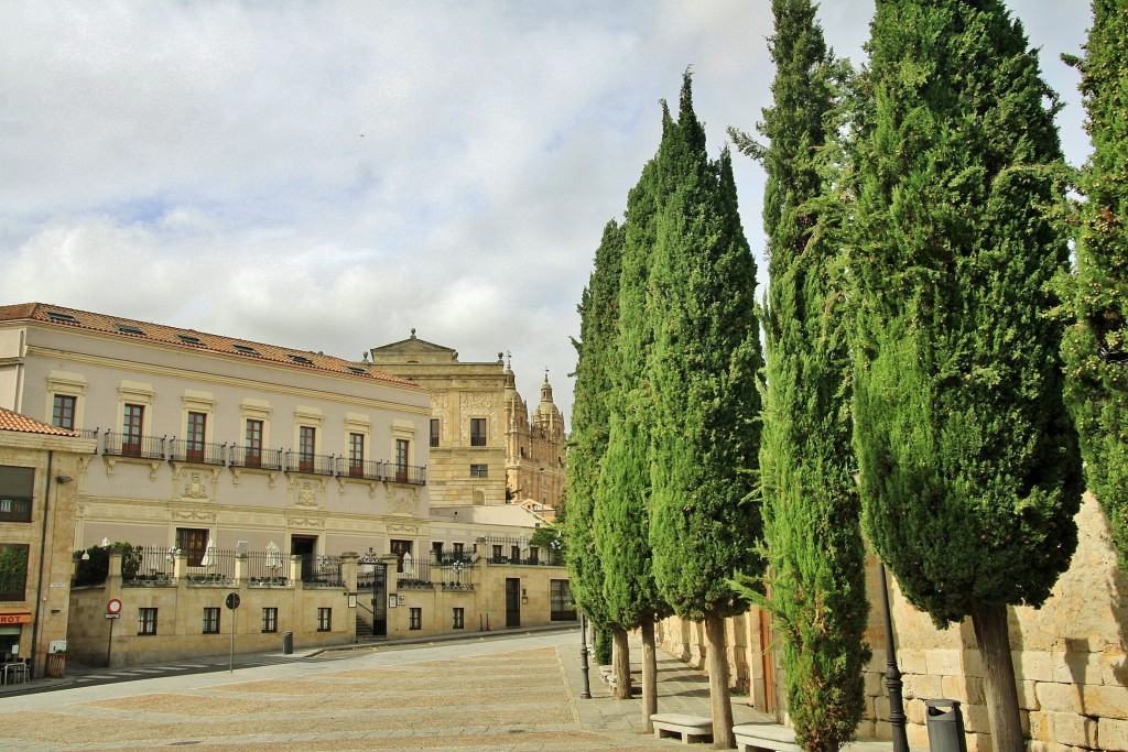 Foto: Centro histórico - Salamanca (Castilla y León), España