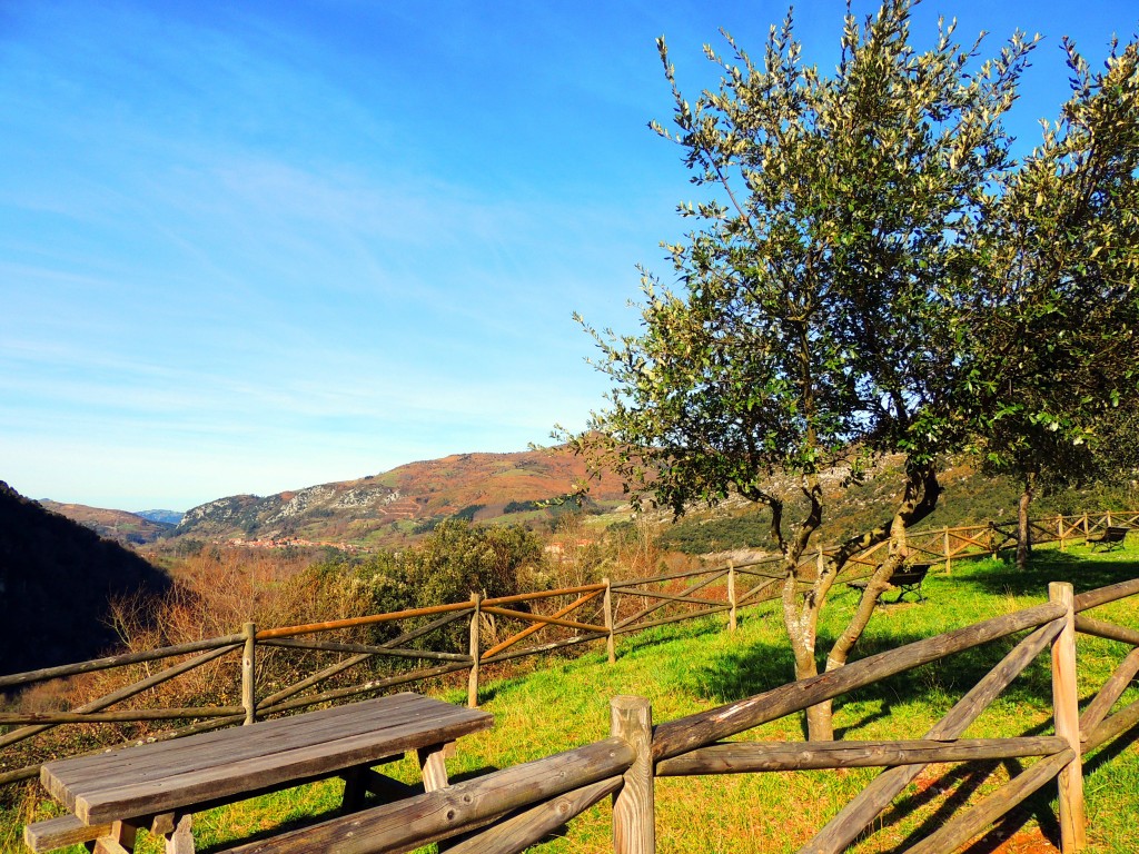 Foto de Celis (Cantabria), España