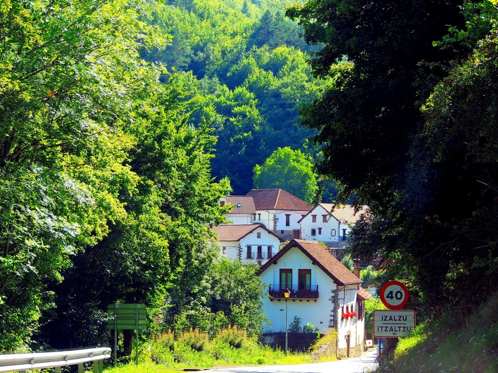 Foto de Izalzu (Navarra), España