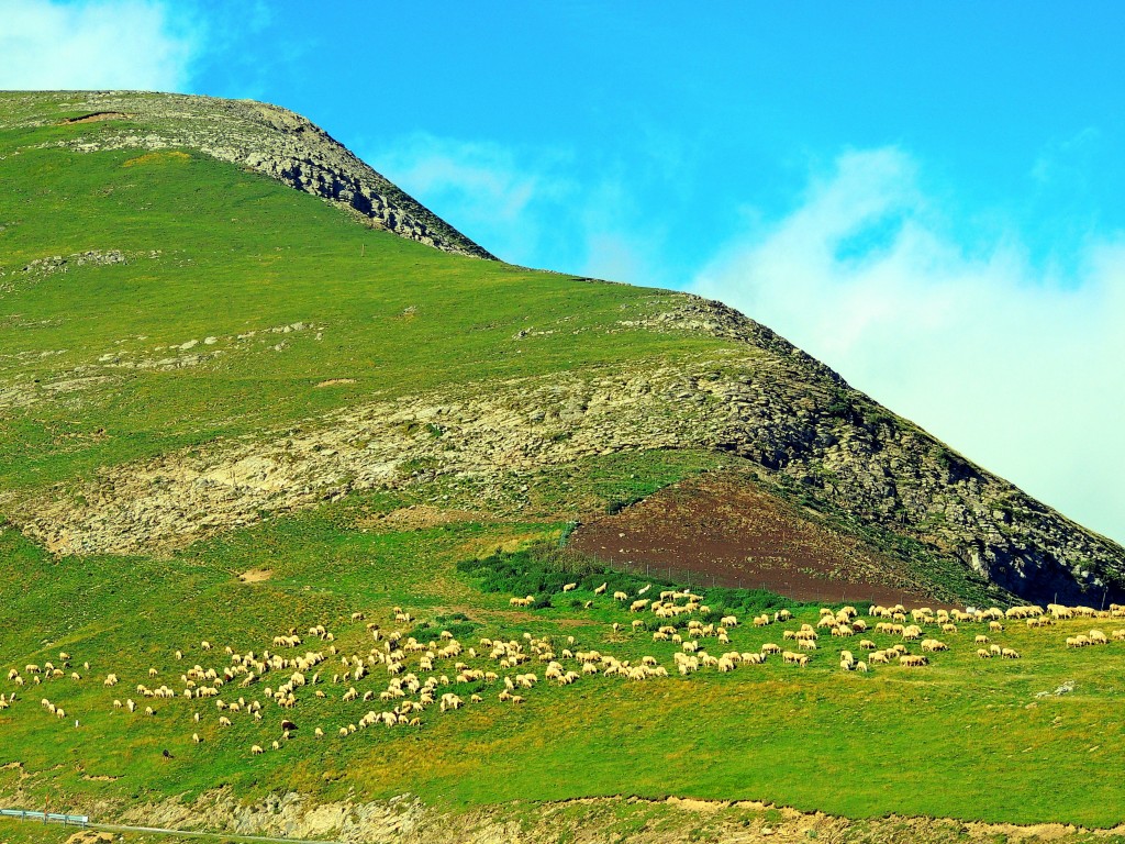 Foto de Izalzu (Navarra), España