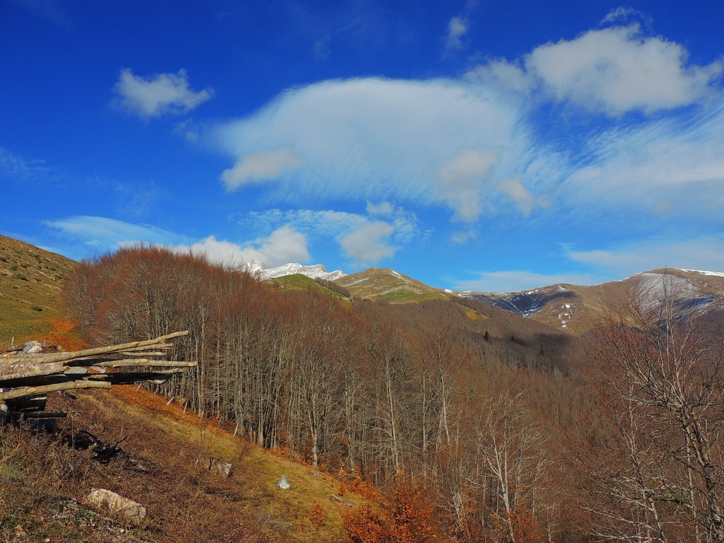 Foto de Izalzu (Navarra), España