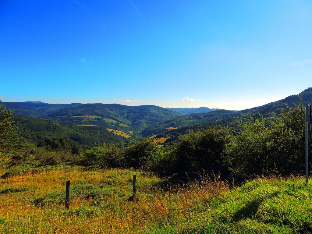 Foto de Izalzu (Navarra), España