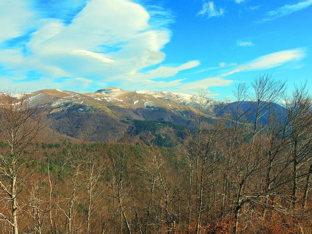 Foto de Izalzu (Navarra), España