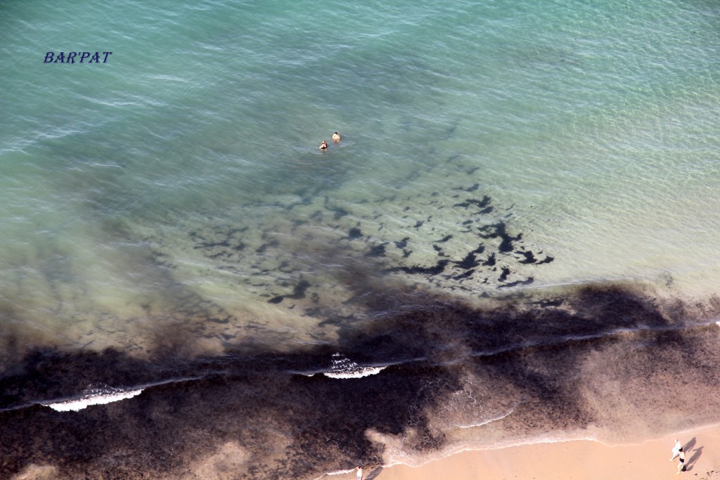 Foto de Cádiz (Andalucía), España