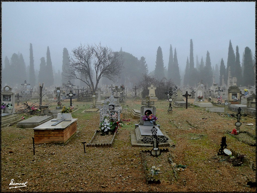 Foto: 160124-74 NIEBLA EN ZARAGOZA - Zaragoza (Aragón), España