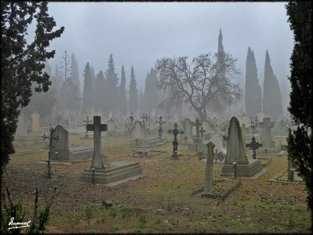 Foto: 160124-80 NIEBLA EN ZARAGOZA - Zaragoza (Aragón), España