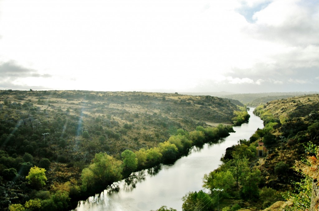 Foto: Rio Tormes - Ledesma (Salamanca), España