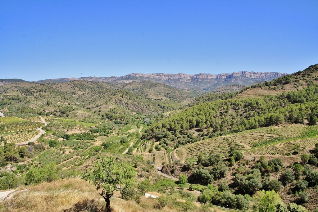 Foto: Paisaje - Torroja del Priorat (Tarragona), España