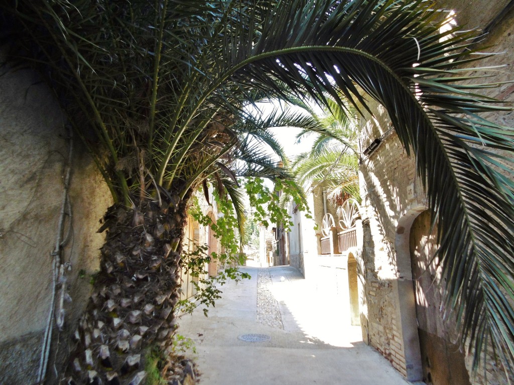 Foto: Centro histórico - Torroja del Priorat (Tarragona), España