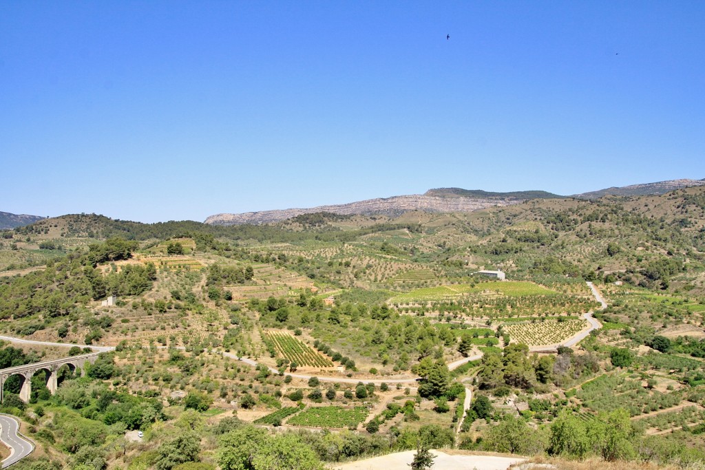 Foto: Paisaje - Torroja del Priorat (Tarragona), España