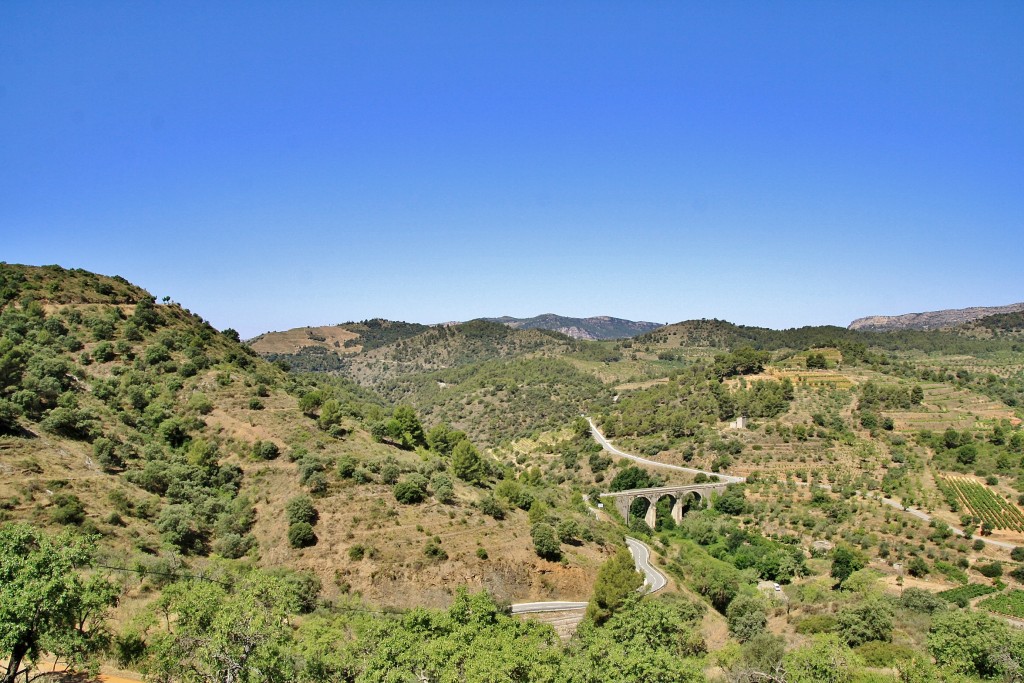 Foto: Paisaje - Torroja del Priorat (Tarragona), España